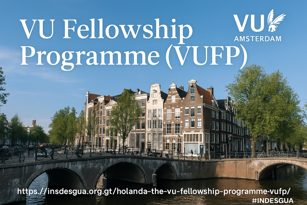 HOLANDA THE VU FELLOWSHIP PROGRAMME VUFP Indesgua